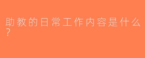 助教的日常工作内容是什么？