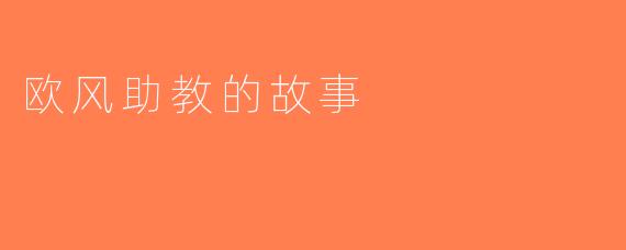 欧风助教的故事