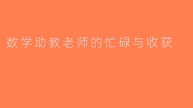 数学助教老师的忙碌与收获