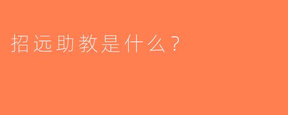 招远助教是什么？