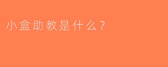 小盒助教是什么？