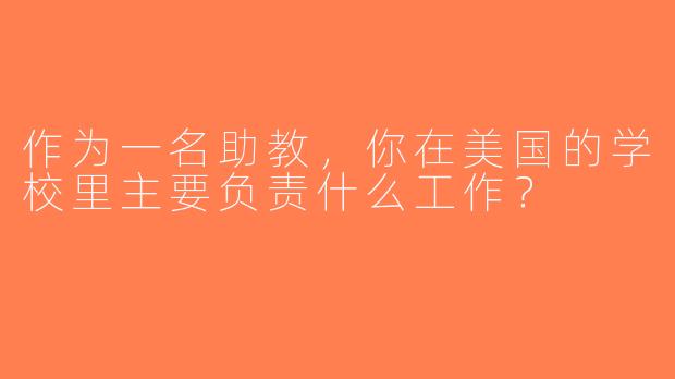 作为一名助教，你在美国的学校里主要负责什么工作？