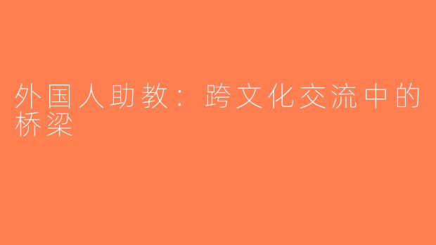 外国人助教：跨文化交流中的桥梁