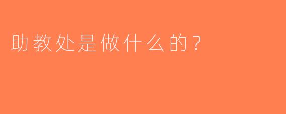 助教处是做什么的？