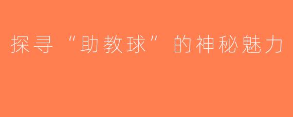 探寻“助教球”的神秘魅力