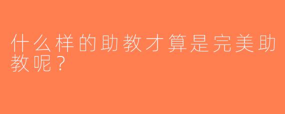 什么样的助教才算是完美助教呢？