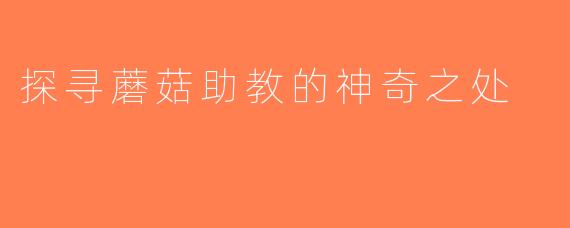 探寻蘑菇助教的神奇之处
