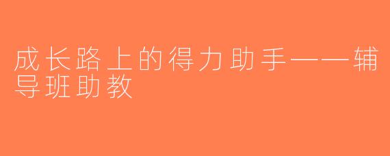 成长路上的得力助手——辅导班助教