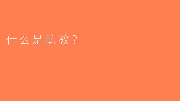 什么是助教？