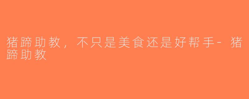 猪蹄助教，不只是美食还是好帮手-猪蹄助教