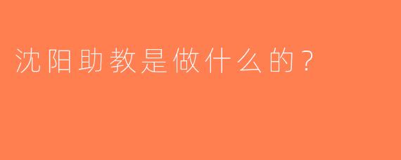 沈阳助教是做什么的？