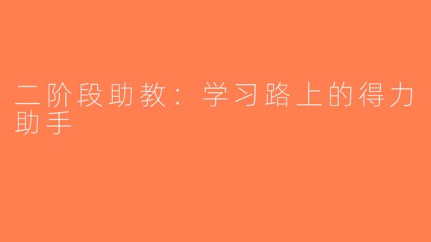 二阶段助教：学习路上的得力助手