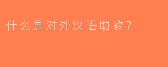 什么是对外汉语助教？