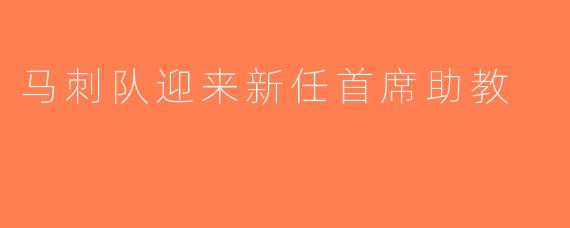 马刺队迎来新任首席助教