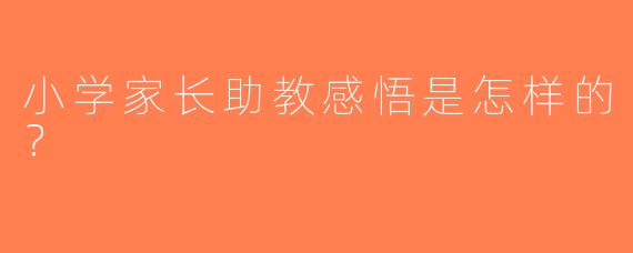 小学家长助教感悟是怎样的？