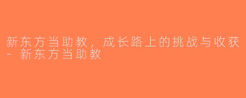 新东方当助教，成长路上的挑战与收获-新东方当助教