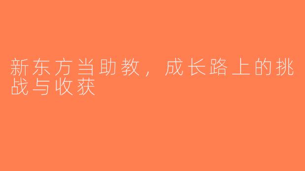 新东方当助教，成长路上的挑战与收获