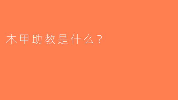 木甲助教是什么？