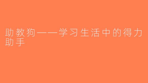 助教狗——学习生活中的得力助手