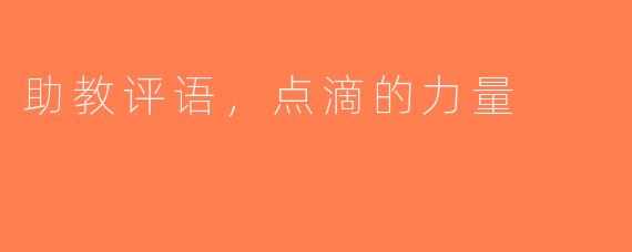 助教评语，点滴的力量