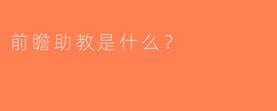 前瞻助教是什么？  