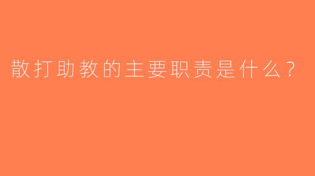 散打助教的主要职责是什么？
