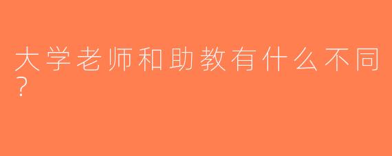 大学老师和助教有什么不同？
