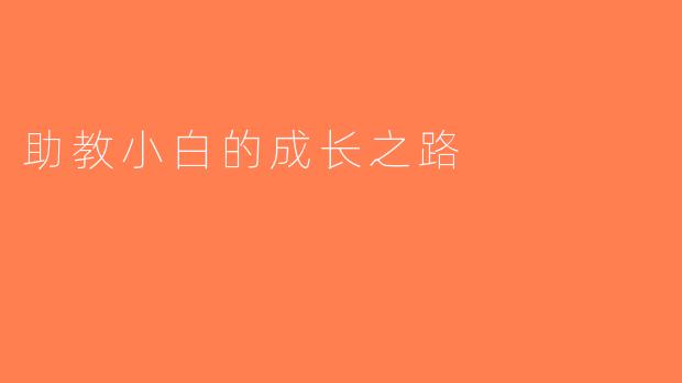 助教小白的成长之路
