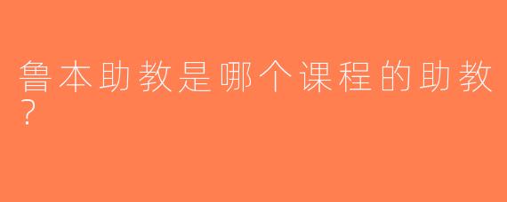 鲁本助教是哪个课程的助教？