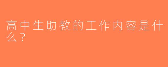 高中生助教的工作内容是什么？