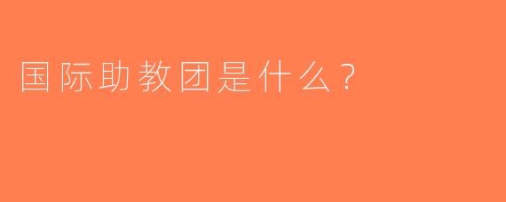 国际助教团是什么？