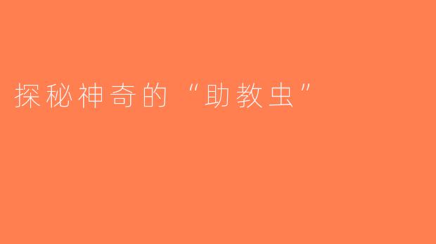 探秘神奇的“助教虫”