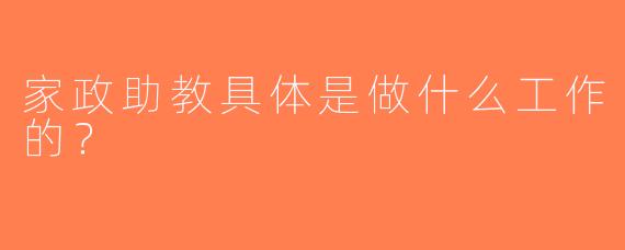 家政助教具体是做什么工作的？