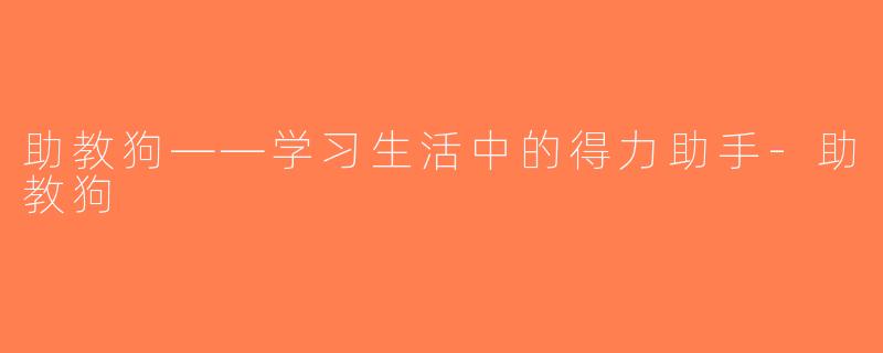 助教狗——学习生活中的得力助手-助教狗