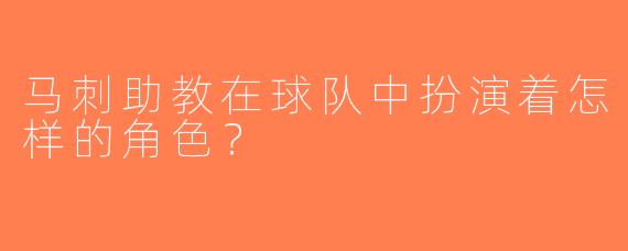 马刺助教在球队中扮演着怎样的角色？