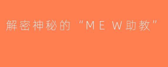 解密神秘的“MEW助教”