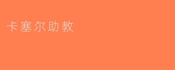 卡塞尔助教