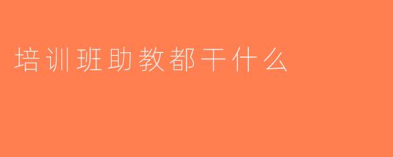 培训班助教都干什么