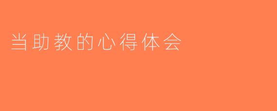当助教的心得体会