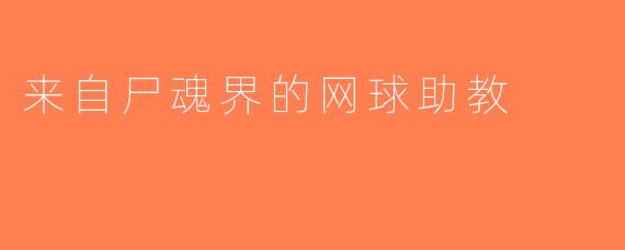 来自尸魂界的网球助教