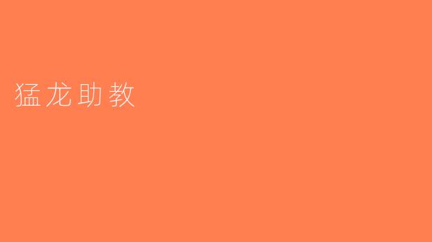 猛龙助教