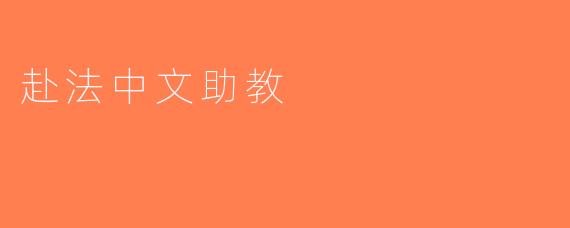 赴法中文助教