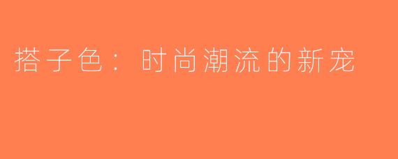 搭子色：时尚潮流的新宠