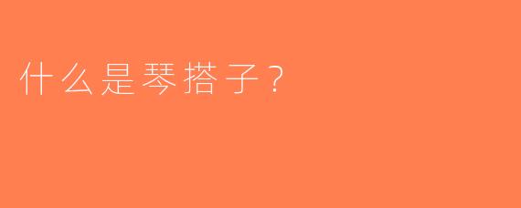 什么是琴搭子？
