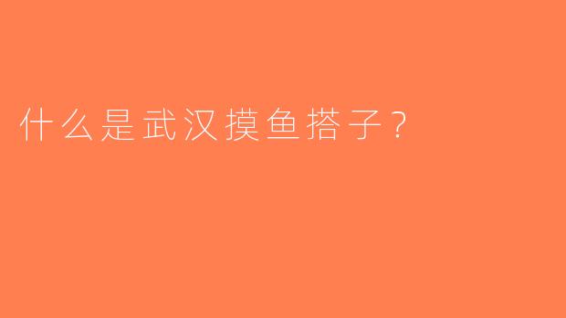 什么是武汉摸鱼搭子？