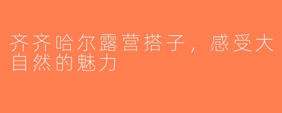 齐齐哈尔露营搭子，感受大自然的魅力