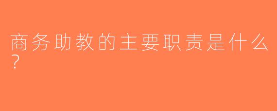 商务助教的主要职责是什么？