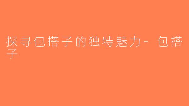 探寻包搭子的独特魅力-包搭子
