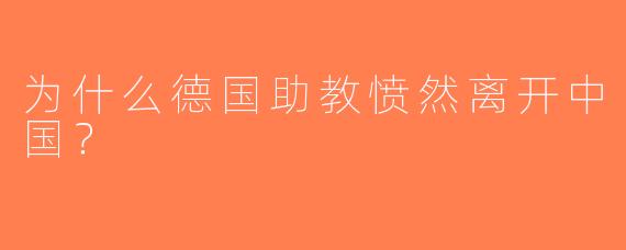 为什么德国助教愤然离开中国？