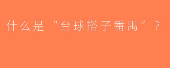 什么是“台球搭子番禺”？